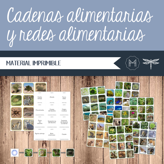 Español - Cadenas alimentarias y redes alimentarias