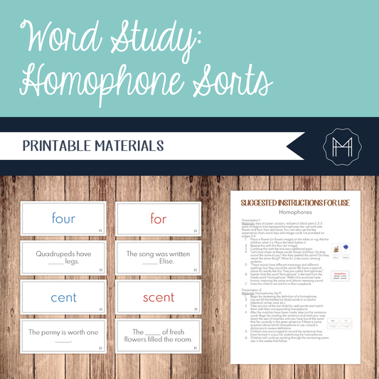 Word Study: Homophone Matching Cards