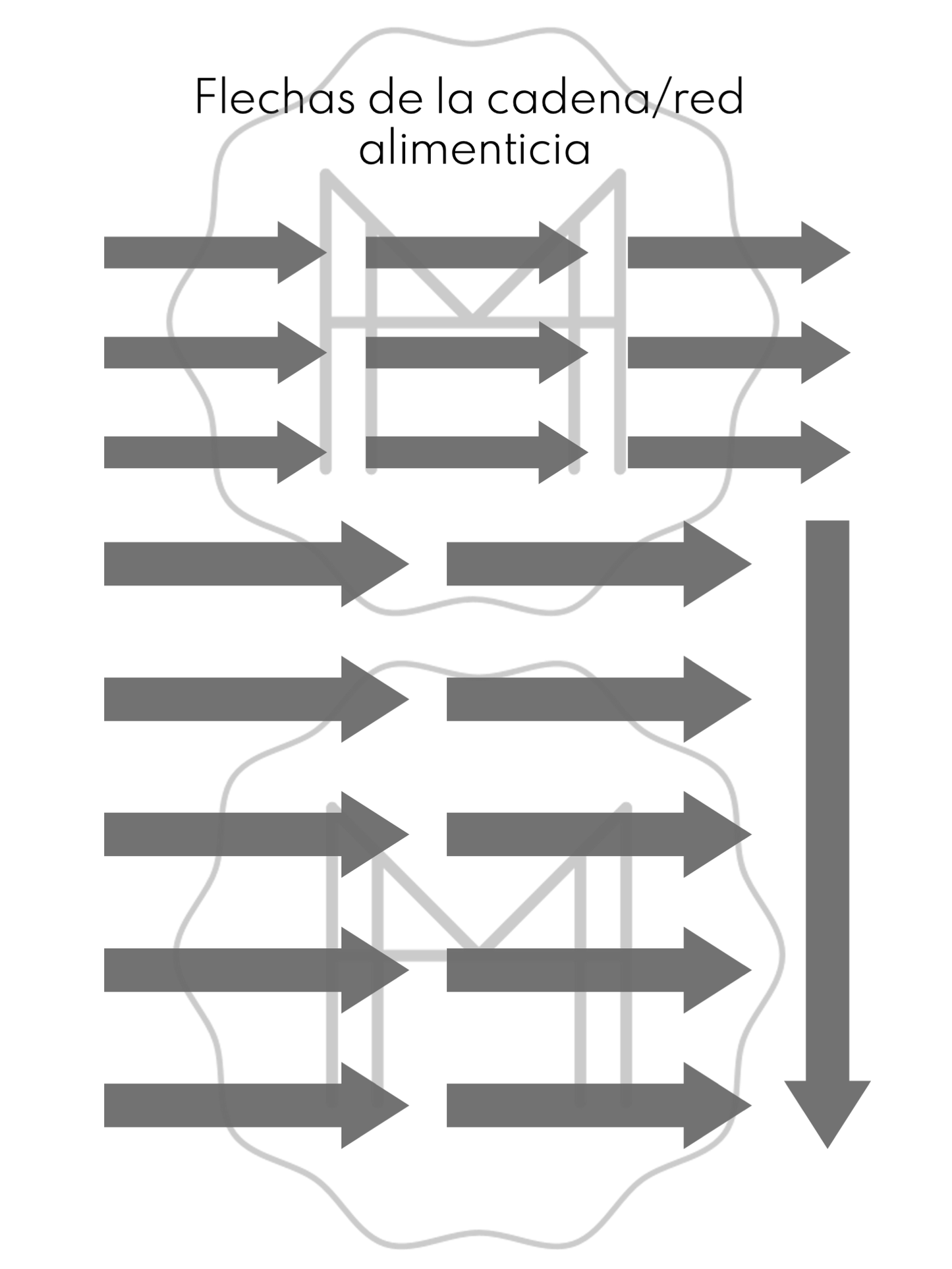 Español - Cadenas alimentarias y redes alimentarias