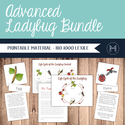 Advanced Study of the Ladybug- Parts of the Ladybug/Life Cycle of the Ladybug