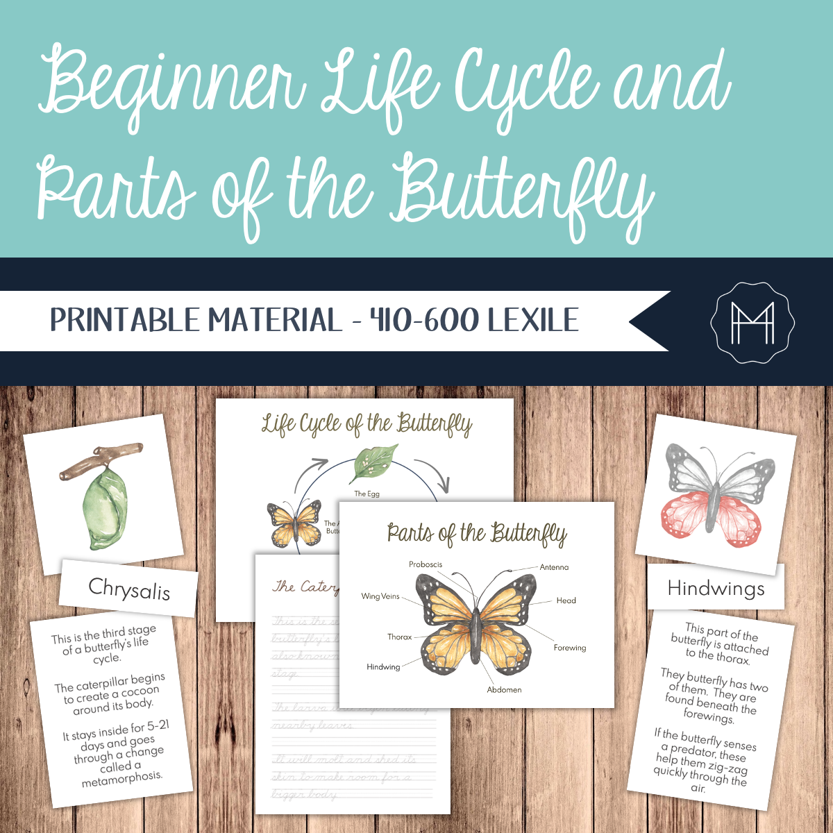 Beginner Life Cycle and Parts of the Butterfly