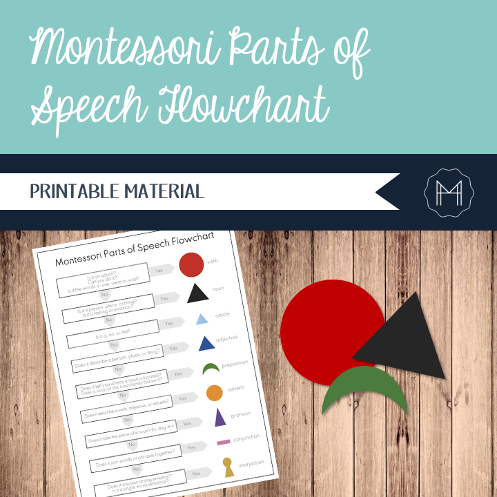 Montessori Parts of Speech Flowchart
