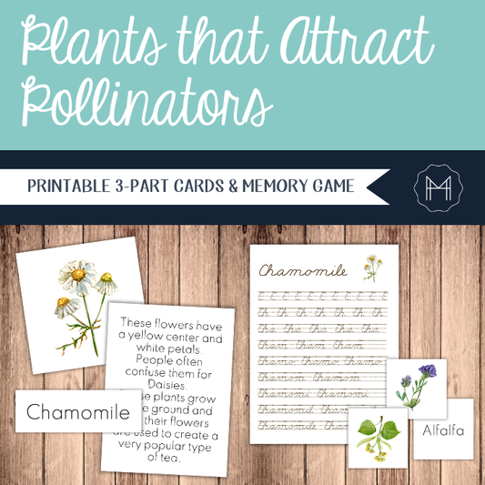 Plants that Attract Pollinators - 3-Part Cards and Memory Game