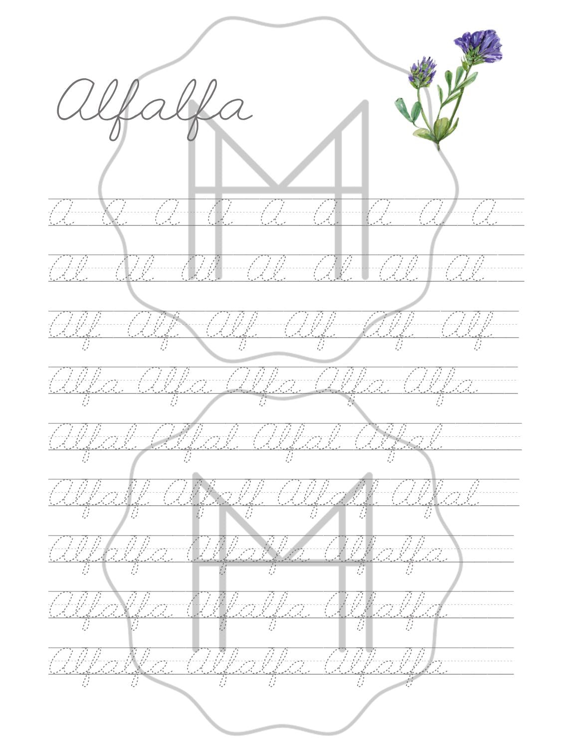 Español - Paquete de plantas polinizadoras y abejas olnenas