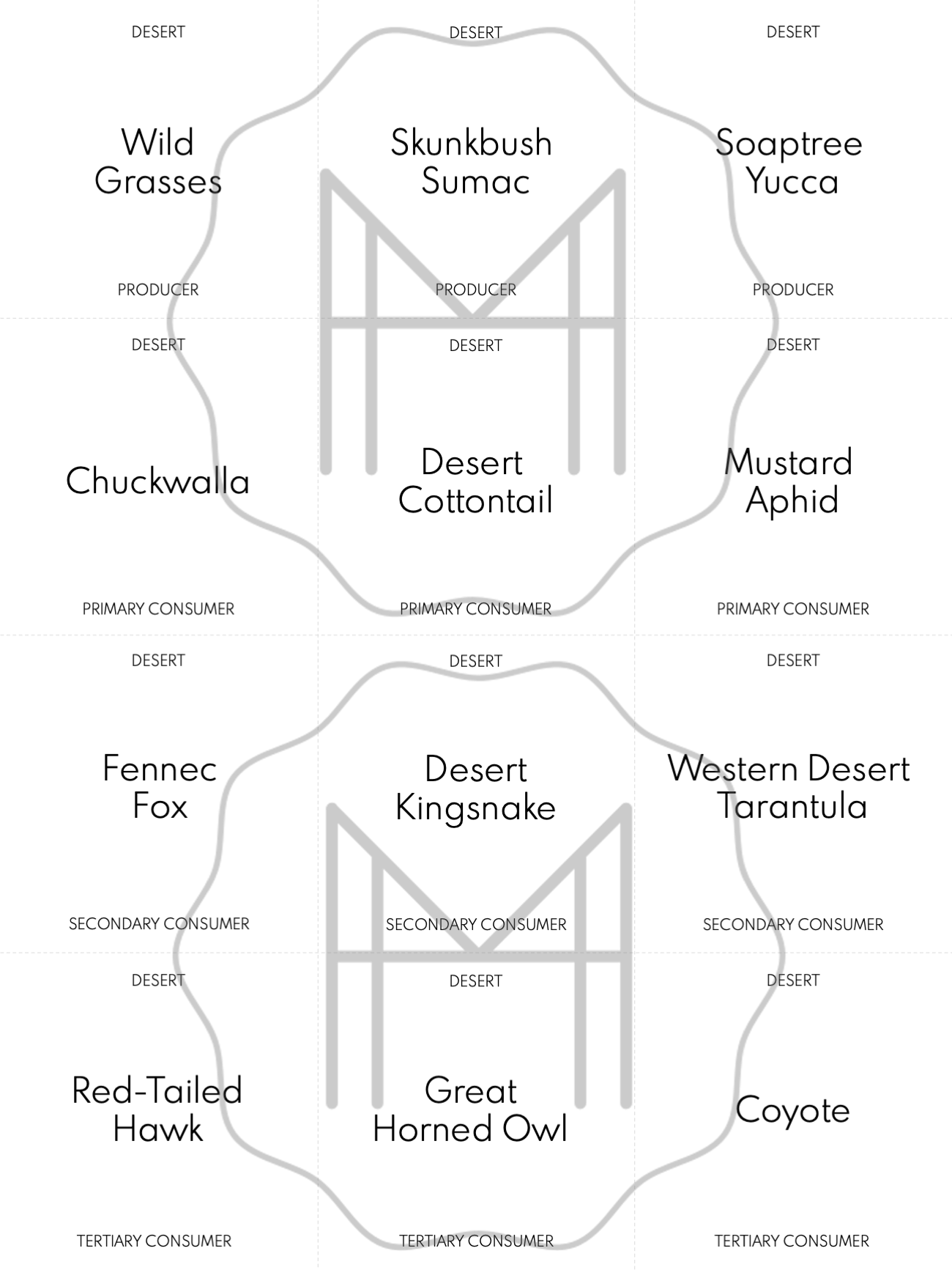 Food Chain/Food Web Materials - Includes 10 Biomes!