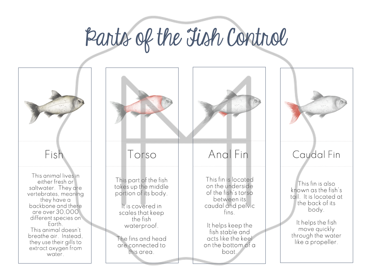 Life Cycle and Parts of the Fish - Ages 8-12