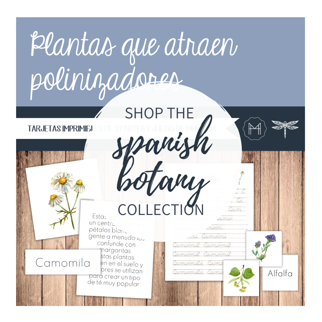 Spanish Botany Materials