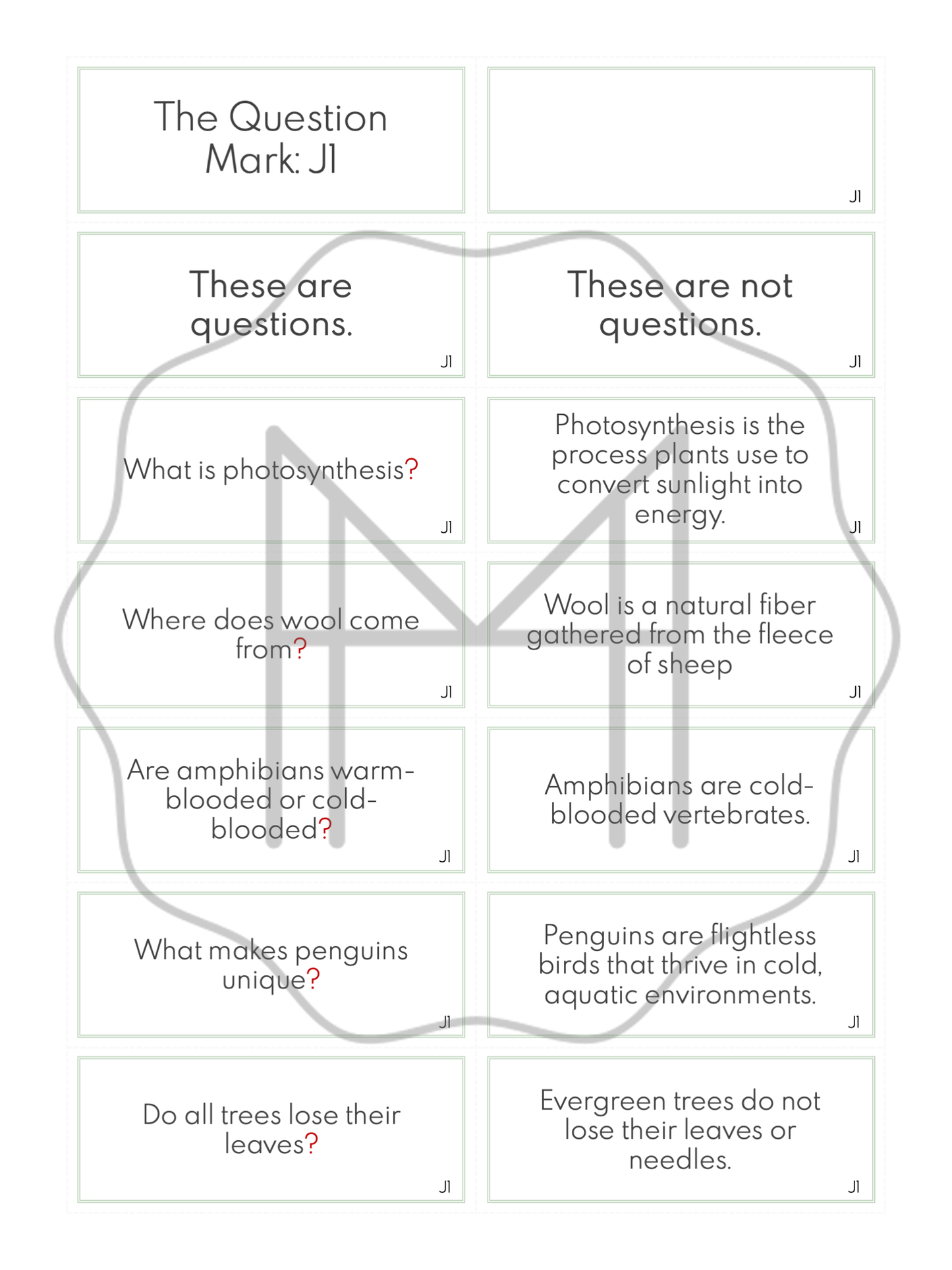 Mechanics Study: The Question Mark