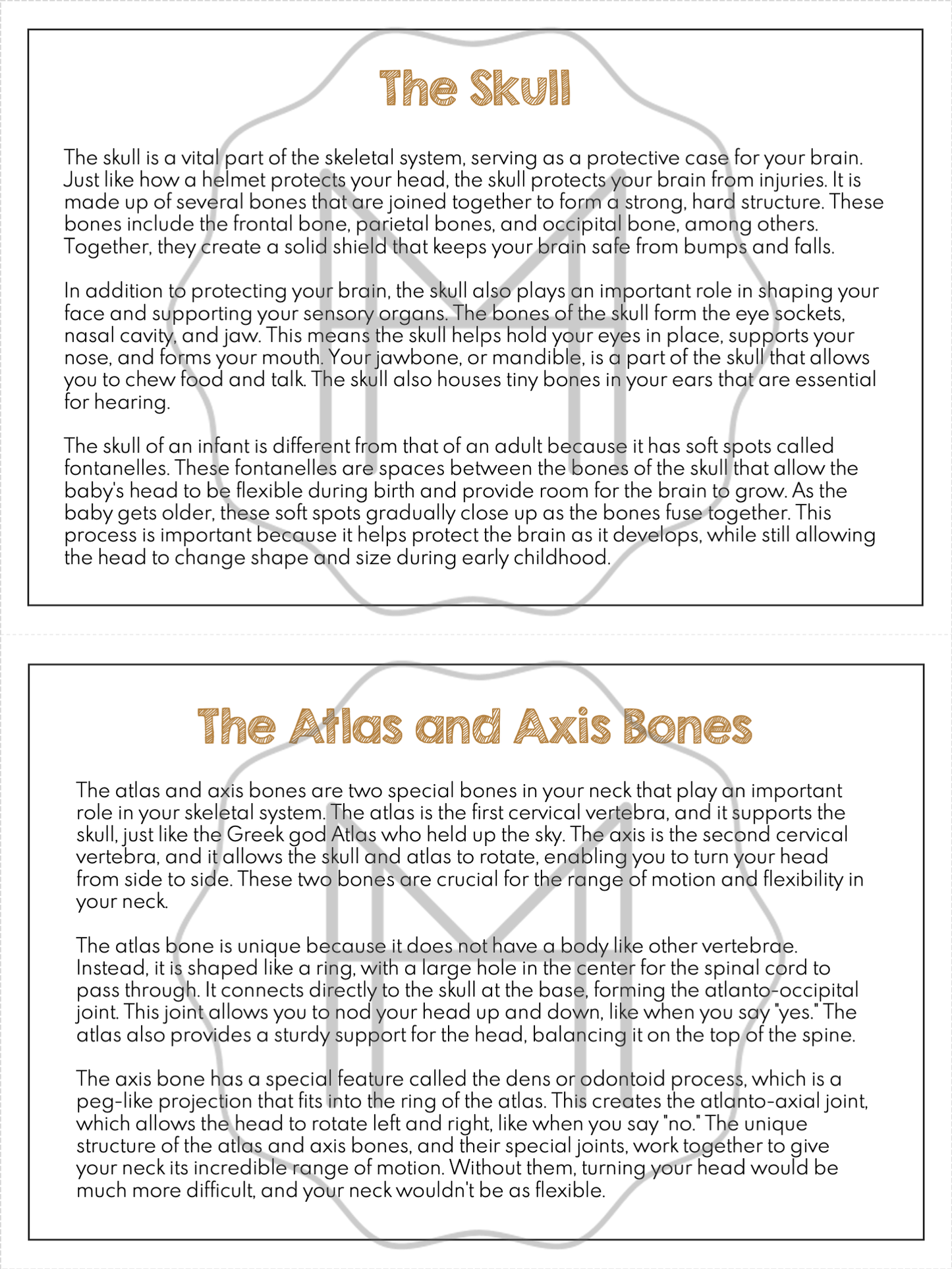 The Skeletal System Unit