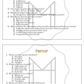 The Skeletal System Unit