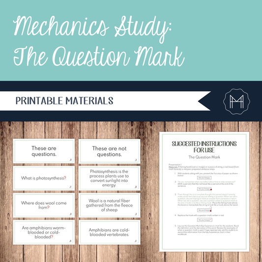 Mechanics Study: The Question Mark