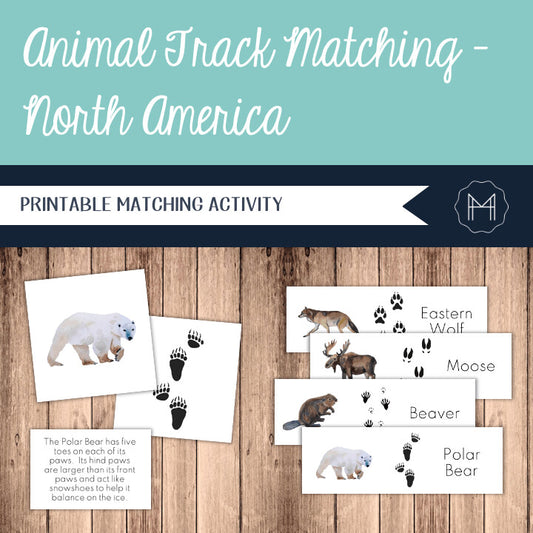 Animal Tracks Matching - Animals of North America