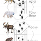 Animal Tracks Matching - Animals of North America