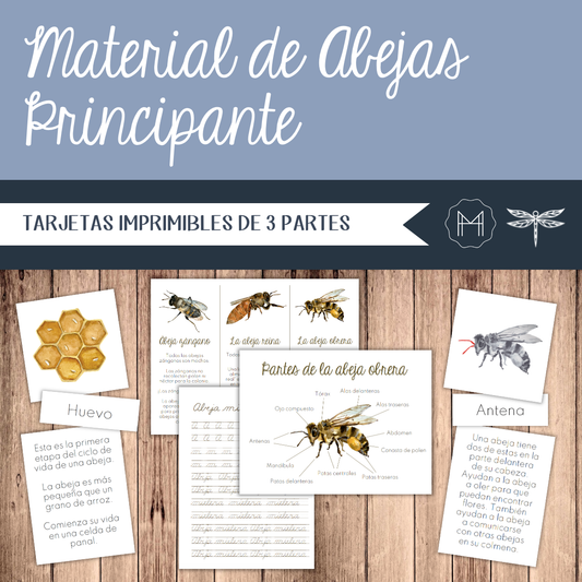 Español - Tarjetas abejas mieleras - Edades 5-8