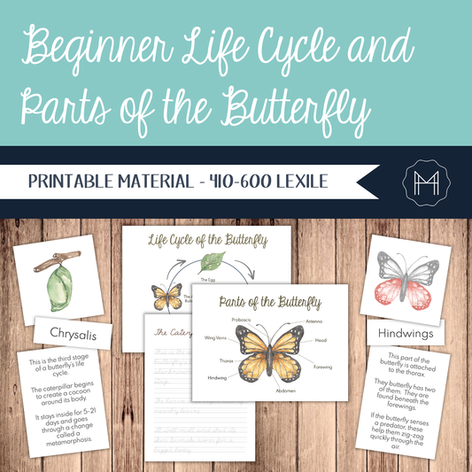 Beginner Life Cycle and Parts of the Butterfly