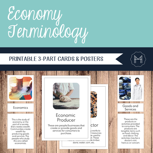 Economy Terminology 3-Part Cards and Posters