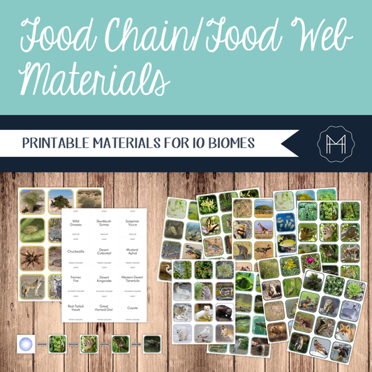Food Chain/Food Web Materials - Includes 10 Biomes!