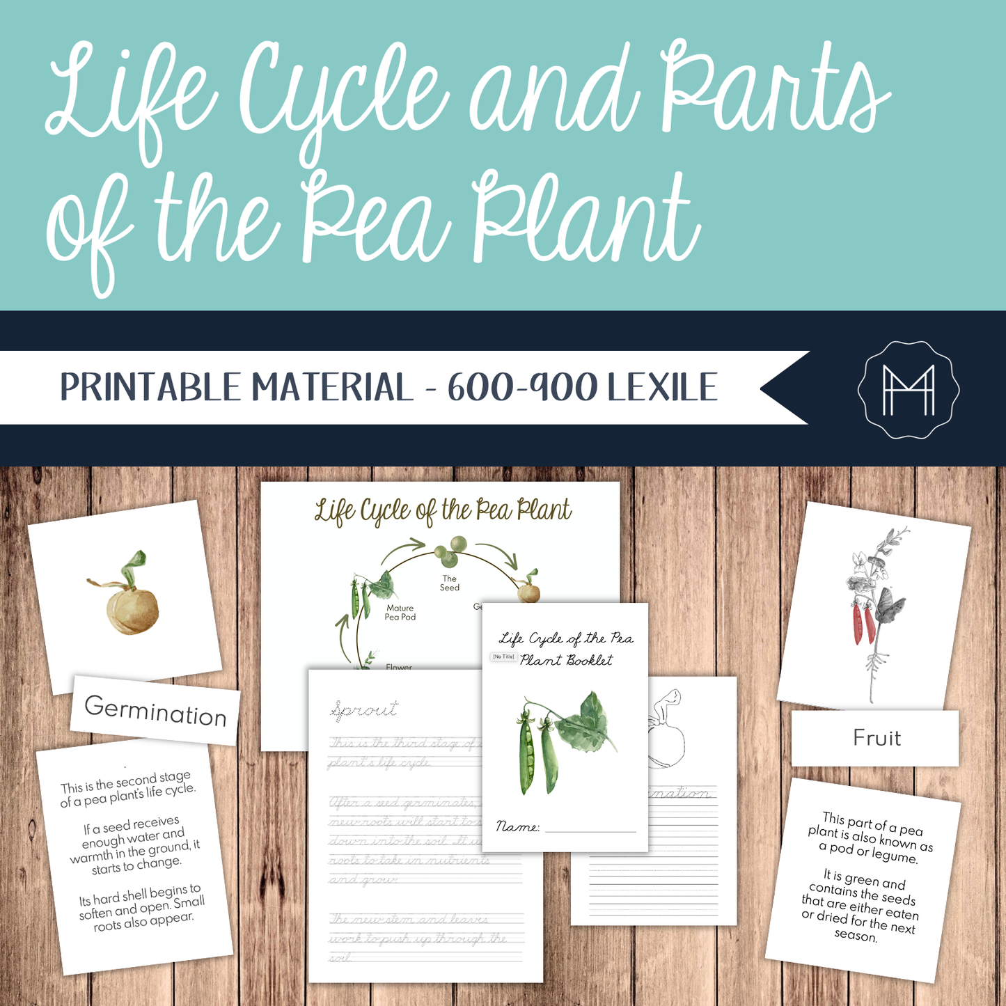 Life Cycle and Parts of the Pea Plant