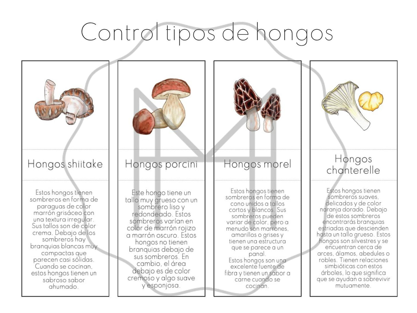 Español - Tipos de hongos