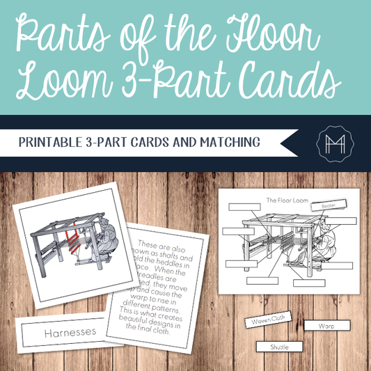 Parts of the Floor Loom 3-Part Cards