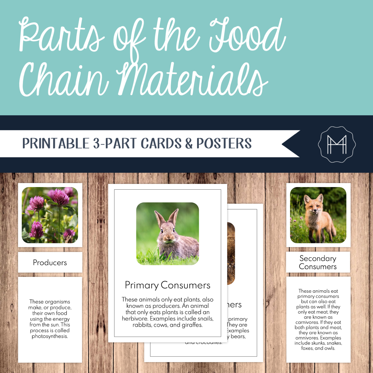 Parts of the Food Chain 3-Part Cards and Posters