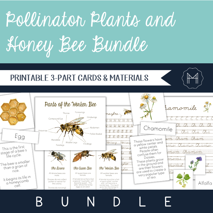 Pollinator Plants and Honey Bee Bundle