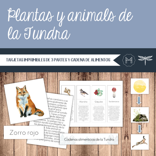 Español - Plantas y animals de la Tundra