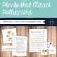 Plants that Attract Pollinators - 3-Part Cards and Memory Game