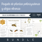 Paquete de plantas polinizadoras y abejas olnenas
