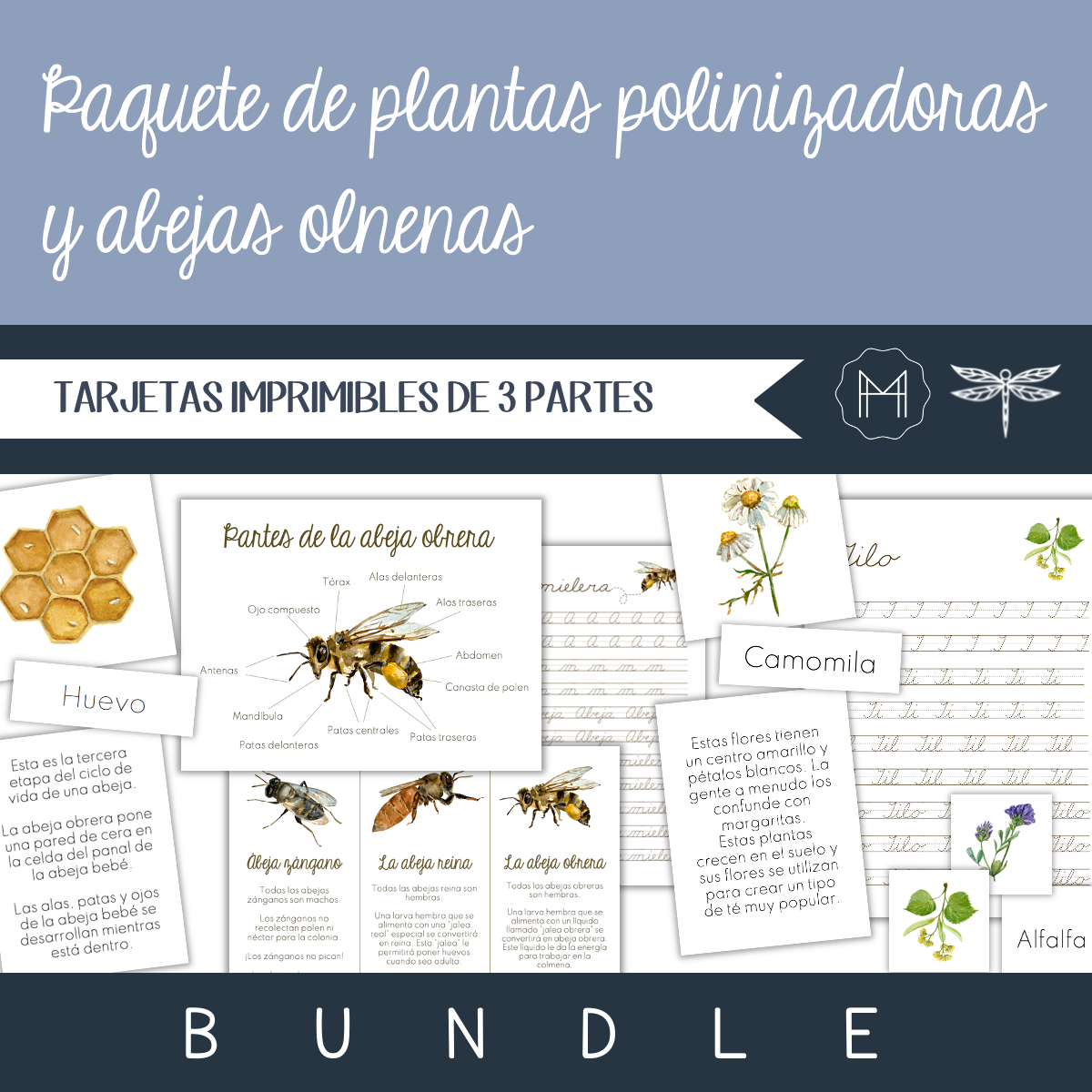 Paquete de plantas polinizadoras y abejas olnenas