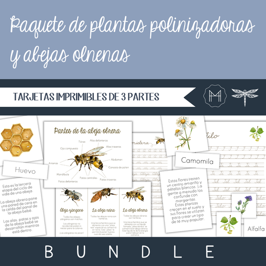 Español - Paquete de plantas polinizadoras y abejas olnenas