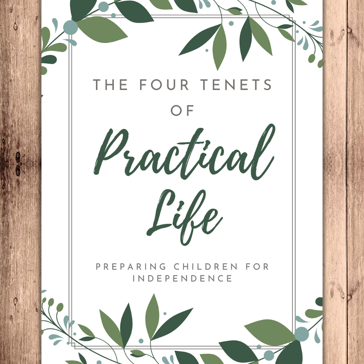 Practical Life Handout - Professional Development and Parent Education Resource