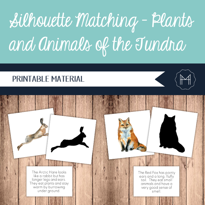 Silhouette Matching- Plants and Animals of the Tundra