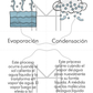 Español - Paquete de clima