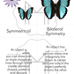 Finding Symmetry in Nature