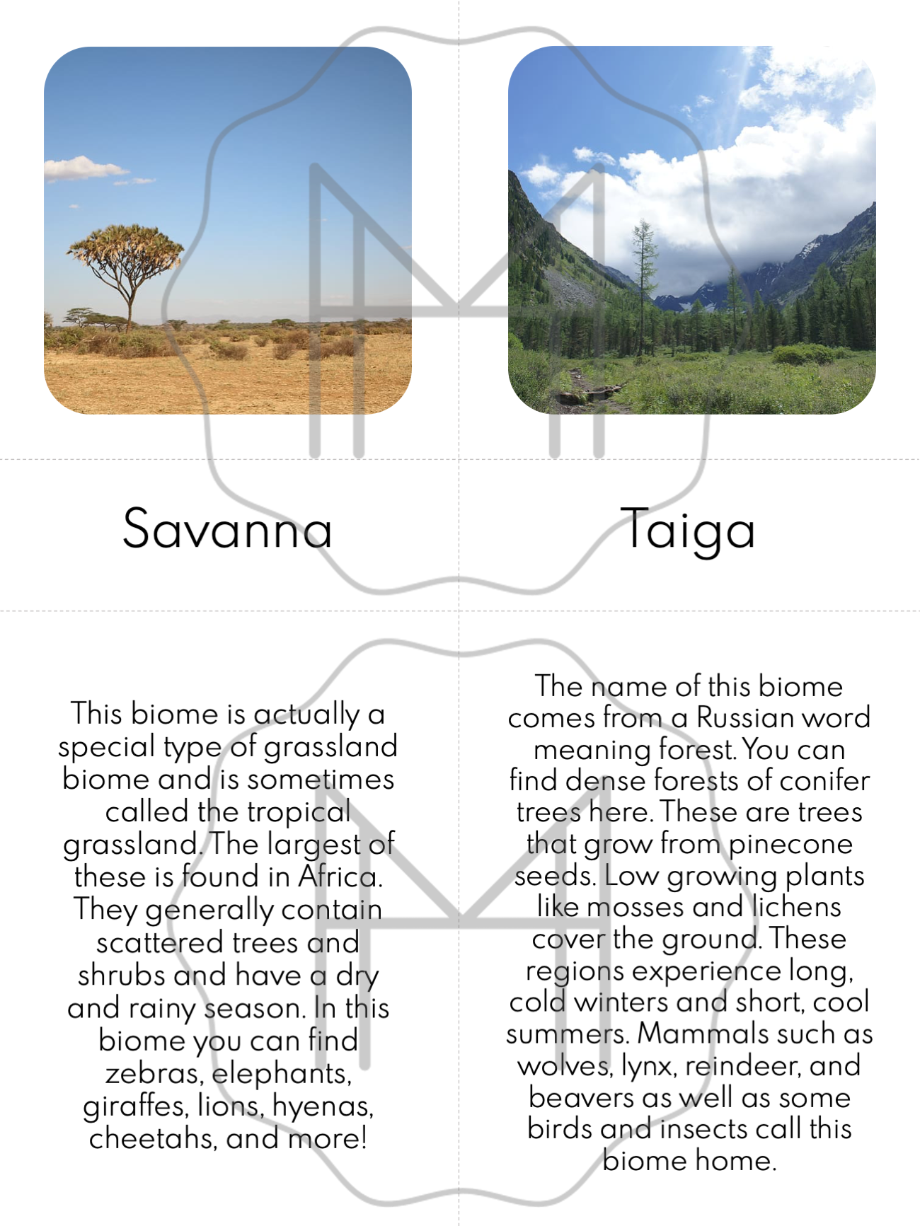 Climate and Biome 3-Part Cards, Posters, and Research Guide
