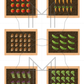 Multiplication Array Practice Cards - Designing Garden Beds