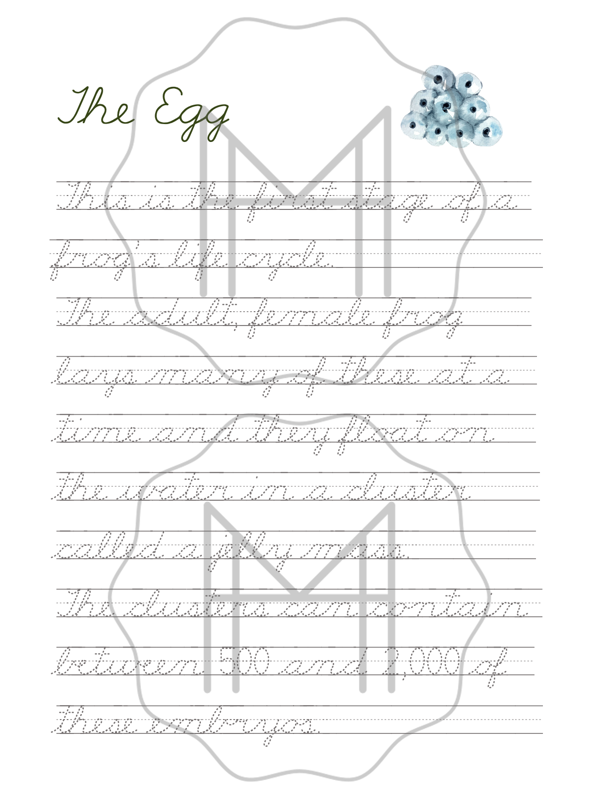 Life Cycles 3-Part Cards: Worms, Ladybugs, Frogs, and Bees