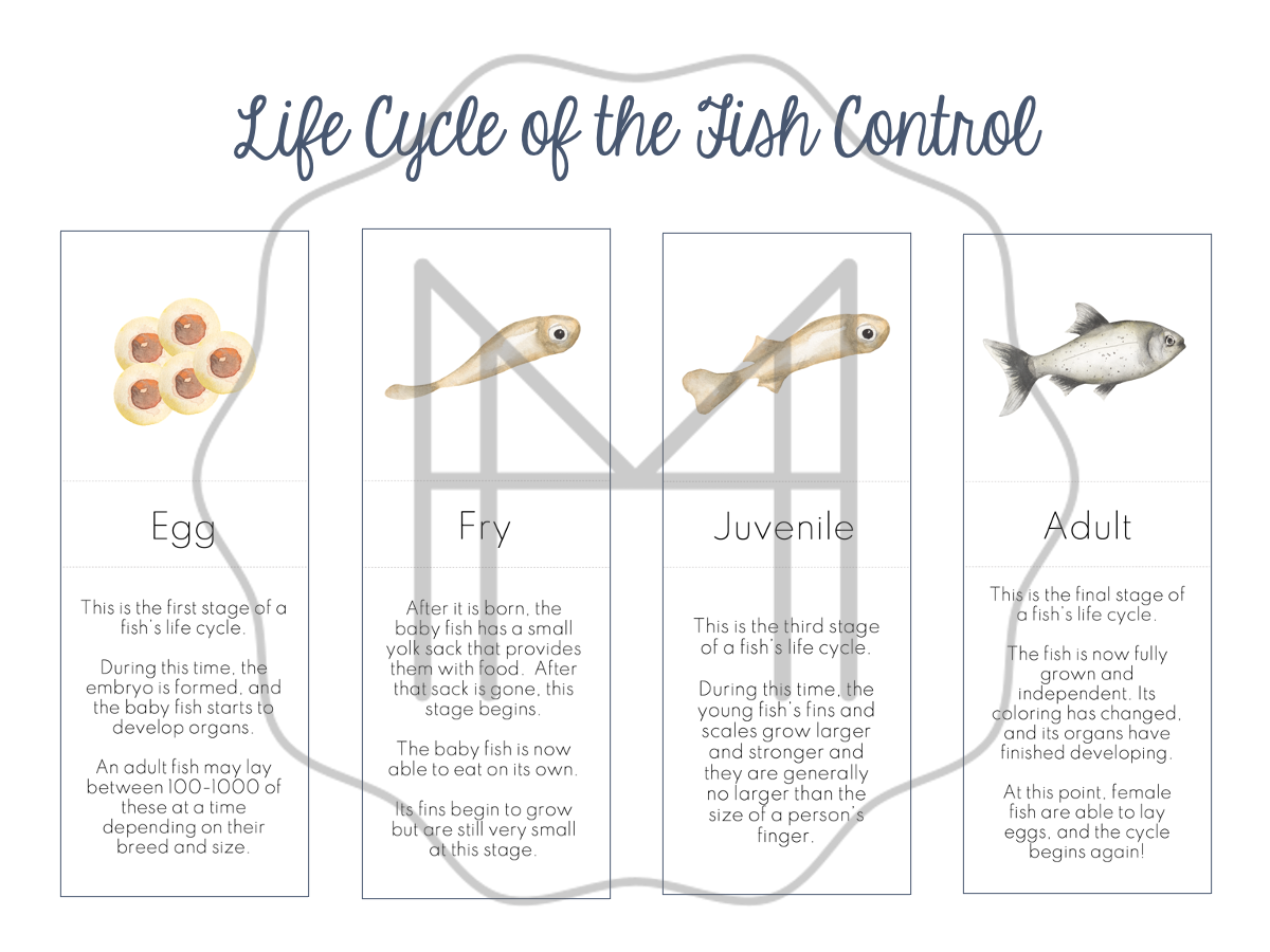 Life Cycle and Parts of the Fish - Ages 8-12
