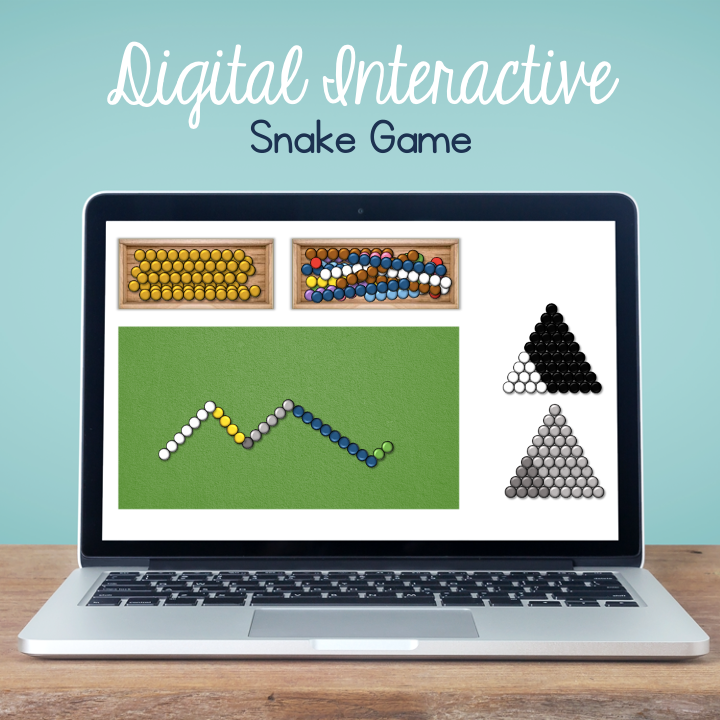 Digital Interactive Montessori Style Snake Game - Distance Learning