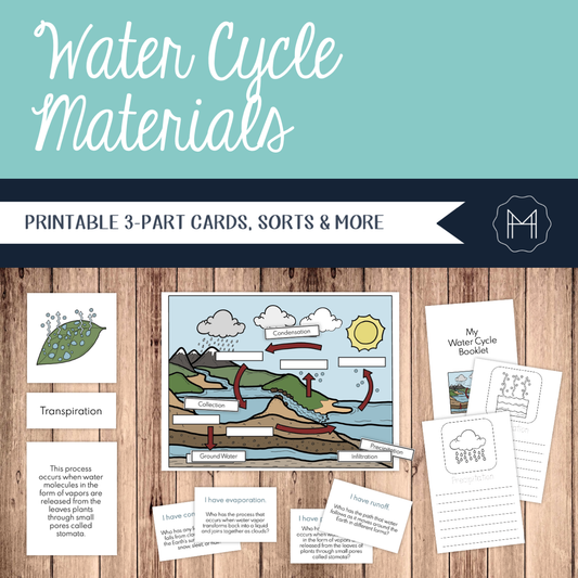 Water Cycle Materials - 3-Part Cards