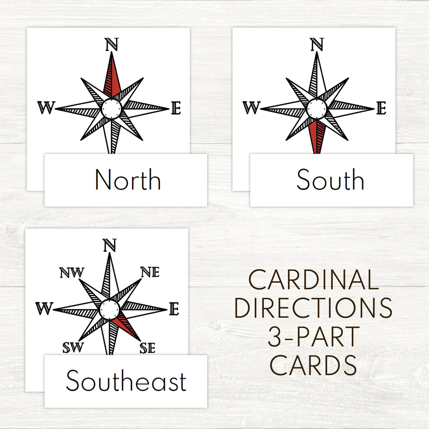 FREEBIE - Cardinal Directions 3-Part Cards